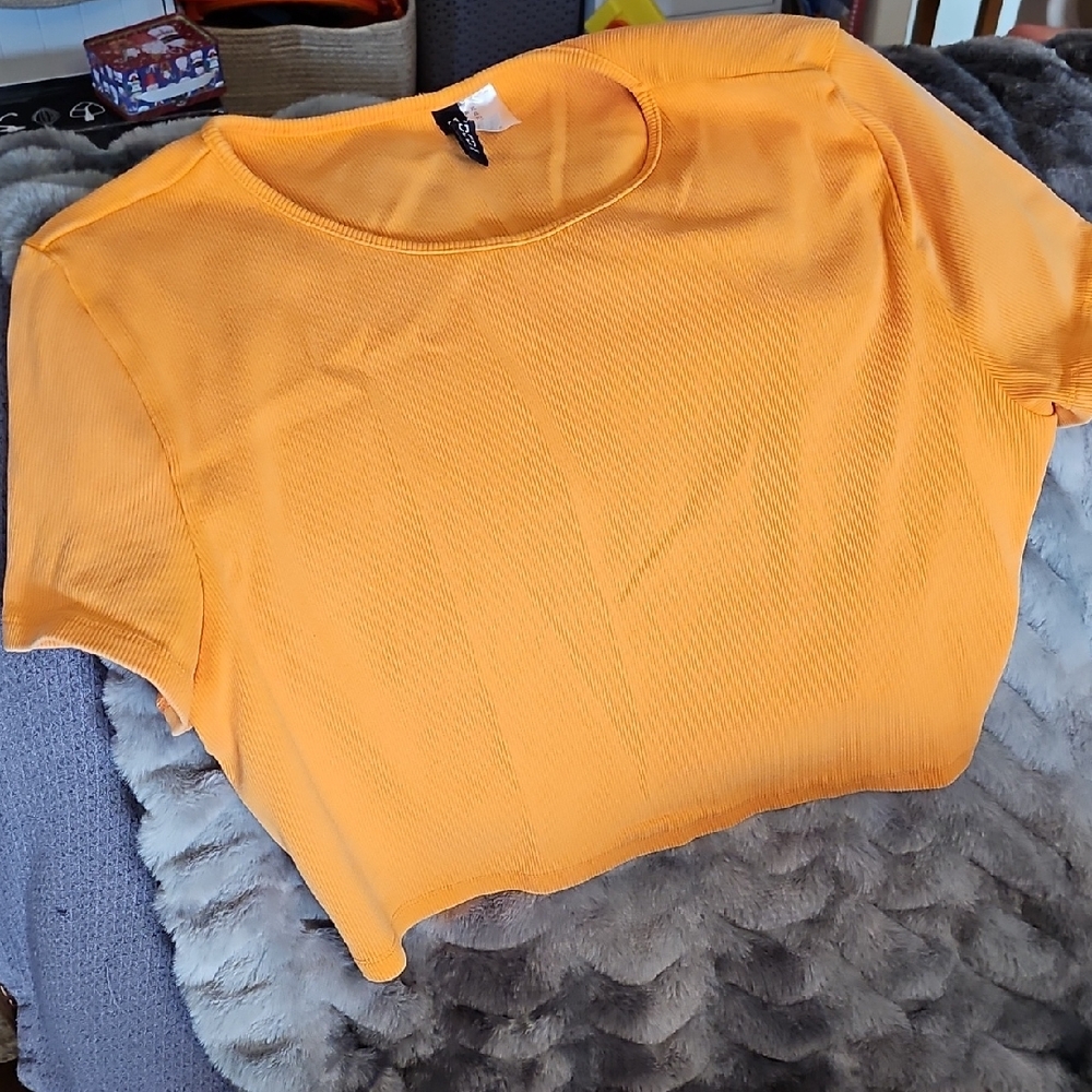 Divided Vibrant Orange Crop Top